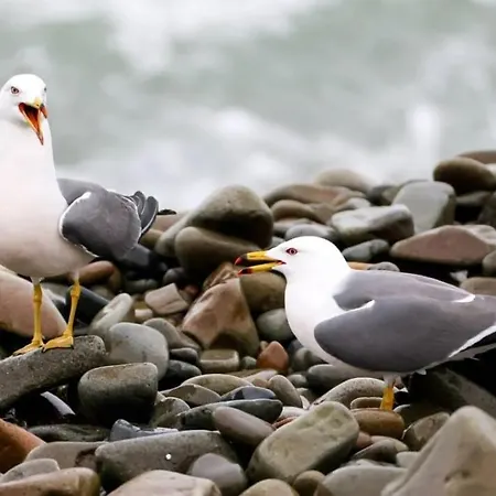 Un Domaine Pour Vos ! *